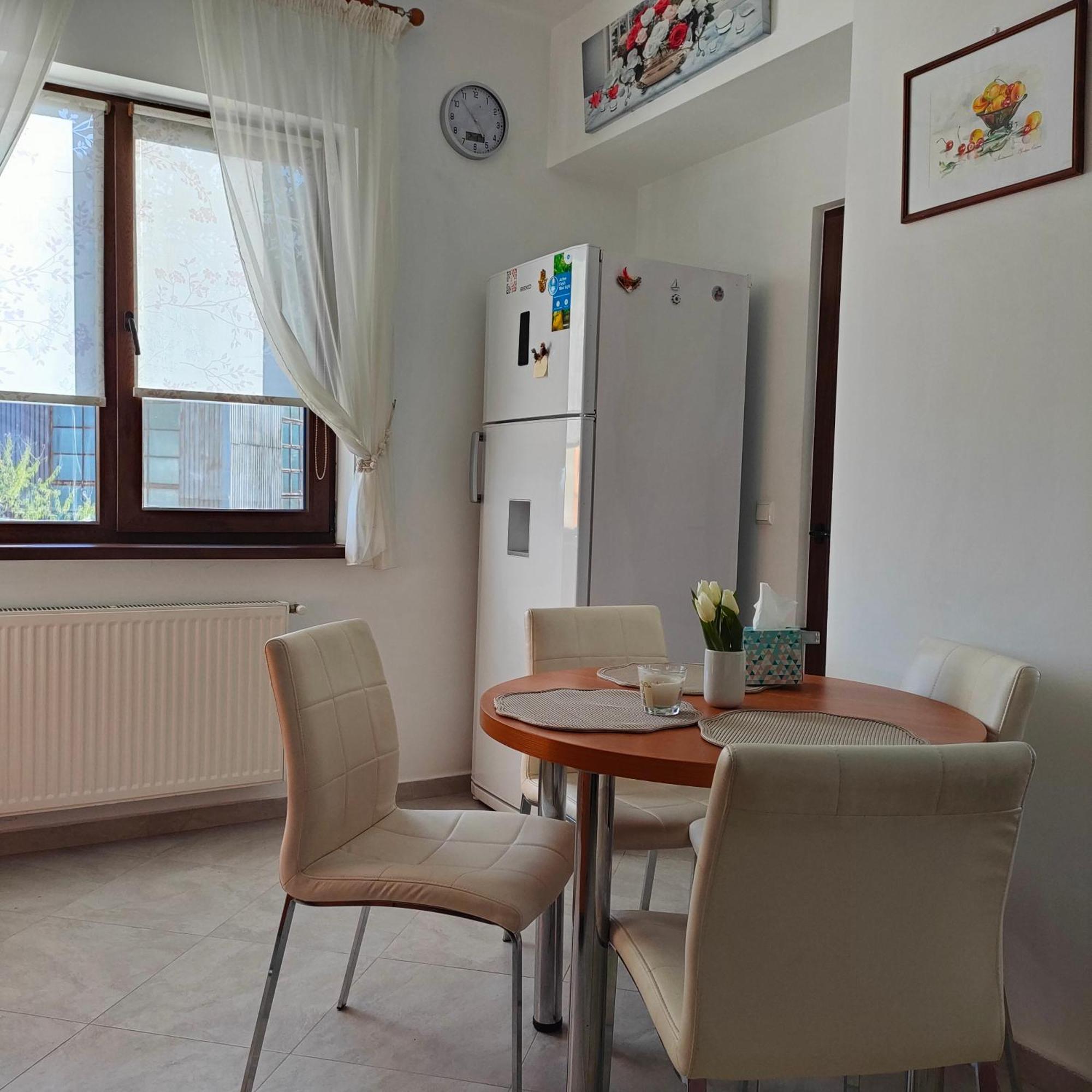 Central Apartament Iasi Iasi