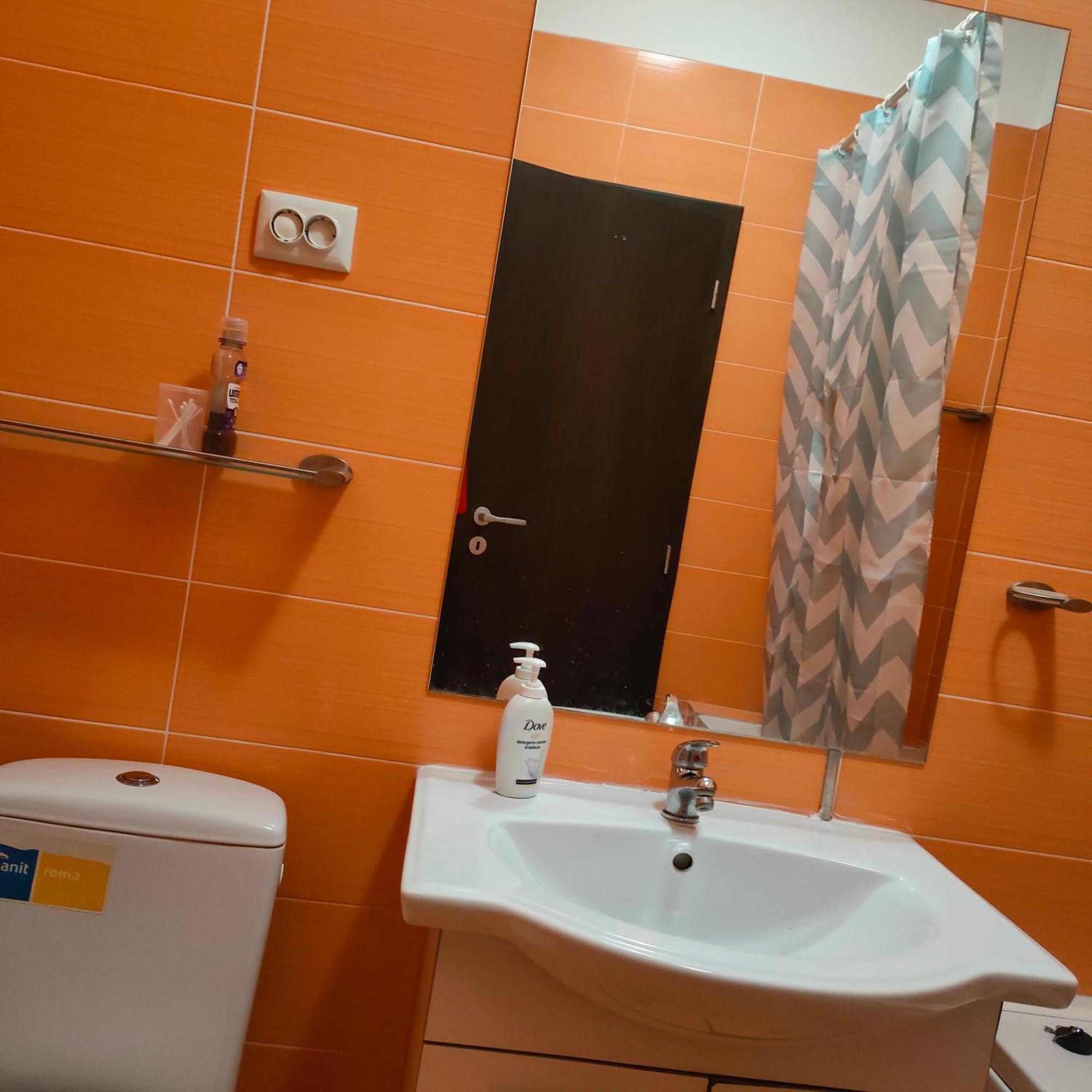 Central Apartament Iasi Apartment